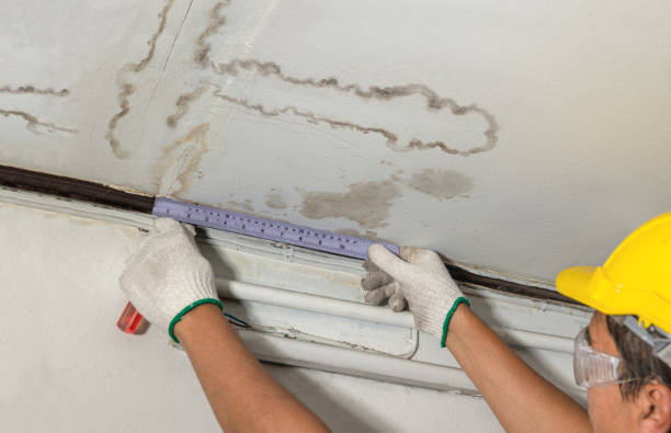 Reliable Mold Remediation contractor in Rhinelander, WI by Water Damage Irwin